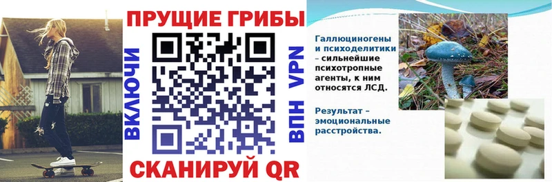 Галлюциногенные грибы прущие грибы где найти Канск